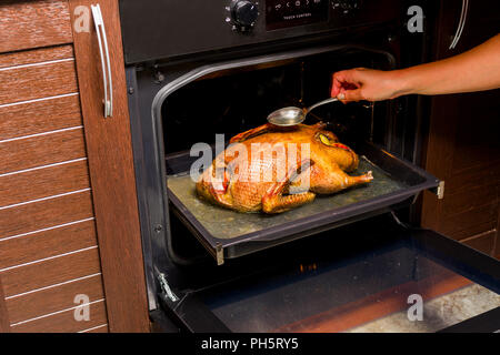 Ente mit Äpfeln in den Ofen Stockfoto