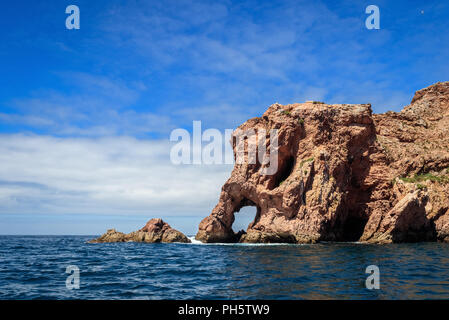 Elephant Head, in Grande Insel Berlenga, Berlengas Archipel - Portugal. Stockfoto