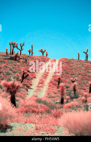 Infrarot Wüstenlandschaft mit rotem Laub und Schmutz der Straße auf einem Hügel unter einem strahlend blauen Himmel. Stockfoto