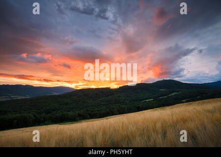 Ländliche Landschaft mit Wiesen und Wäldern im Tal des Fluss Ipel im Süden der Slowakei. Stockfoto