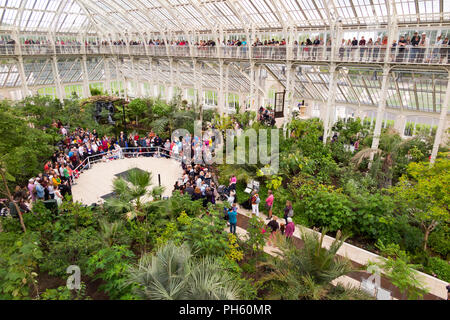 Blick vom Balkon des wiederhergestellten/nach der Restaurierung 2018 der Viktorianischen gemäßigt Haus an der Royal Botanic Garden, Kew. London. UK. (101) Stockfoto