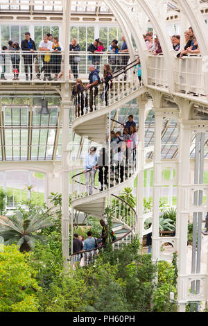 Ansicht der eiserne Wendeltreppe vom Balkon des wiederhergestellten/nach der Restaurierung 2018 der Viktorianischen gemäßigt Haus am Royal Botanic Garden, Kew, London Vereinigtes Königreich Großbritannien Stockfoto