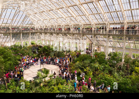 Blick vom Balkon des wiederhergestellten/nach der Restaurierung 2018 der Viktorianischen gemäßigt Haus an der Royal Botanic Garden, Kew. London. UK. (101) Stockfoto