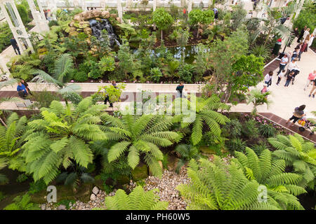 Blick vom Balkon des wiederhergestellten/nach der Restaurierung 2018 der Viktorianischen gemäßigt Haus an der Royal Botanic Garden, Kew. London. UK. (101) Stockfoto