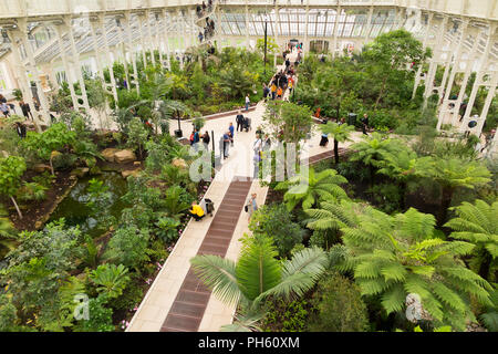 Blick vom Balkon des wiederhergestellten/nach der Restaurierung 2018 der Viktorianischen gemäßigt Haus an der Royal Botanic Garden, Kew. London. UK. (101) Stockfoto