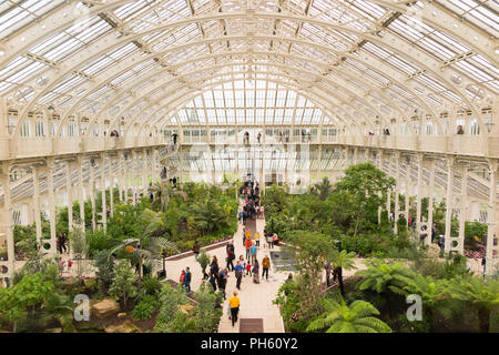 Blick vom Balkon des wiederhergestellten/nach der Restaurierung 2018 der Viktorianischen gemäßigt Haus an der Royal Botanic Garden, Kew. London. UK. (101) Stockfoto