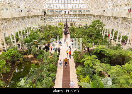 Blick vom Balkon des wiederhergestellten/nach der Restaurierung 2018 der Viktorianischen gemäßigt Haus an der Royal Botanic Garden, Kew. London. UK. (101) Stockfoto