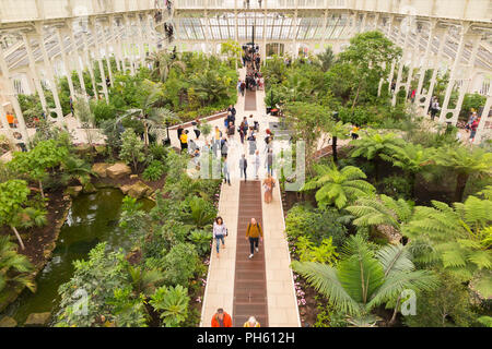 Blick vom Balkon des wiederhergestellten/nach der Restaurierung 2018 der Viktorianischen gemäßigt Haus an der Royal Botanic Garden, Kew. London. UK. (101) Stockfoto