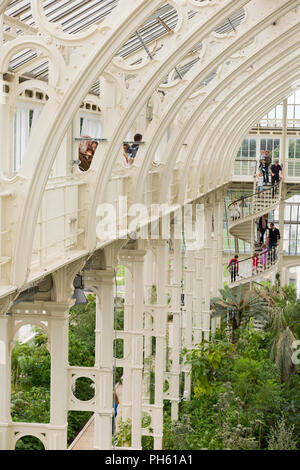 Schmiedeeisen Rippen/Schmiedearbeiten rib/Eisen und Gusseisen in der Viktorianischen gemäßigt Haus in Kew Gardens, der Royal Botanic Garden, London. Großbritannien (101) Stockfoto