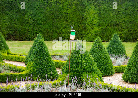 Box Tree motten Falle/Pheromon lure/box moth Trap männlichen Motten zu fangen und Caterpillar Befall auf Box Hecken in einem formalen Garten verhindern. UK. (101) Stockfoto