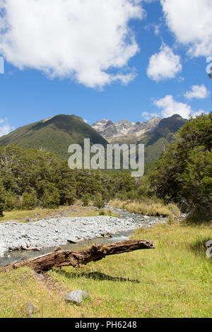 Tod Baum vor Berglandschaft mit blauer Himmel in Neuseeland Stockfoto