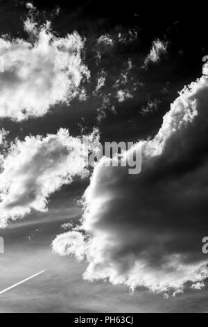 Kondensstreifen von Düsenjets; geschwollene cumulus Wolken gegen einen klaren, blauen Himmel central Colorado, USA Stockfoto