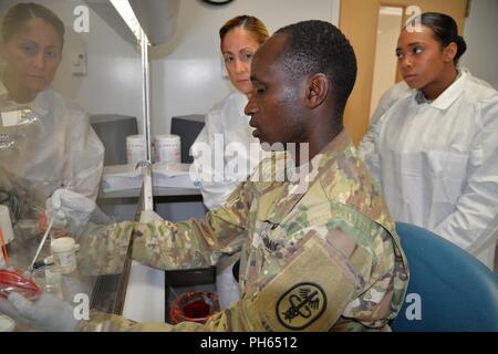 Us Air Force Tech. Sgt. Myra Eberwine und Airman 1st Class Briana McDonald, öffentliche Gesundheit Techniker, mit der 177th Fighter Wing des New Jersey Air National Guard, analysieren Bakterien mit Armee 1. Lt Japheth Ngojoy, Chief Gesundheit Umweltbeauftragte, am Fort Wainwright, Alaska, 21. Juni 2018. Stockfoto