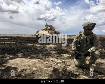 Pvt. Tyler Yorgesen, ein Unternehmen, das 116 Brigade Ingenieur Bataillon, nimmt ein Knie während Live Demo Training Strecke seines Platoon Juni 16, 2018, im Orchard Combat Training Center. Als Teil des 116 Kavallerie Brigade Combat Team exportierbar Kampftraining Fähigkeit Rotation, Bekämpfung der Ingenieure gelöscht Kabel Hindernisse mit M1A3 Bangalore Torpedos. Als der niedrigste Rang Mitglied seiner Gruppe, Yorgesen detoniert die Torpedos. Stockfoto