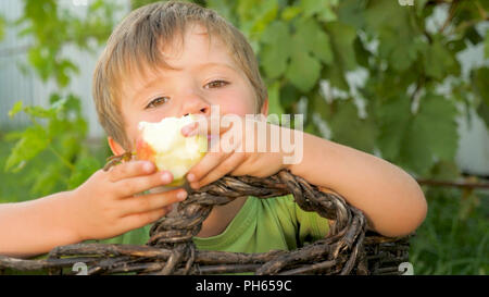 Junge isst Apfel. Kind in den Korb mit saftigen Apfel. Stockfoto