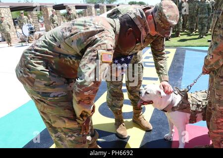 Oberst Robert E. Lee Magee, Commander, 3. gepanzerte Brigade Combat Team, 1. Panzerdivision und Command Sgt. Maj. Michael L. Oliver, Senior Advisor angeworben, 3D ABCT, pet Sgt. 1. Klasse Cody Chester, Maskottchen, 3D ABCT, 1 AD während seiner Pensionierung Zeremonie am 1 AD-parade Feld 22. Juni. Stockfoto