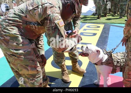 Oberst Robert E. Lee Magee, Commander, 3. gepanzerte Brigade Combat Team, 1. Panzerdivision und Command Sgt. Maj. Michael L. Oliver, Senior Advisor angeworben, 3D ABCT, pet Sgt. 1. Klasse Cody Chester, Maskottchen, 3D ABCT, 1 AD während seiner Pensionierung Zeremonie am 1 AD-parade Feld 22. Juni. Stockfoto