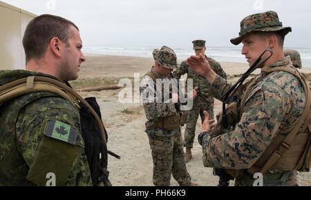 CAMP Pendleton, Calif (27. Juni 2018) - Große Jean-Francois Labonte, Kommandierender Offizier der Kanadischen 2. Bataillon Royal 22e Régiment Bravo Company (links) und Leutnant William Thompson von 21 Fuchs Firma US Marine Corps haben eine Diskussion während der Biennale der Pacific Rim (Rimpac) Übung am Roten Strand Training Bereich an Bord Camp Pendleton, 27. Juni, 2018. 25 Nationen, mehr als 45 Schiffe und u-Boote, etwa 200 Flugzeugen und 25.000 Angestellte beteiligen sich an Rimpac vom 27. Juni bis 2. August in und um die hawaiischen Inseln und Südkalifornien. Die weltweit größte Internatio Stockfoto