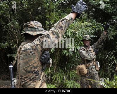 Ein Marine beauftragt einen anderen Marine in einer simulierten feindlichen Kriegsgefangenen Suche während einer Patrouille an der Jungle Warfare Training Center, Camp Gonsalves, Okinawa, Japan Juni 28, 2018. Die Marines sind die Teilnahme an einem einwöchigen Kurs ihrer Dschungel überleben Fähigkeiten zu verbessern. Stockfoto