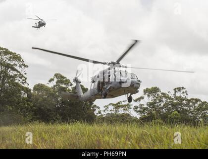 WAHIAWA, Hawaii (27. Juni 2018) - Zwei MH-60s Hubschrauber, Hubschrauber Meer Combat Squadron 4 (HSC-4) im schnellen Seil einführen und Absaugung Ausbildung zwischen USA und Partner Nationen während der Pacific Rim (Rimpac) Juni 27 teilnehmen. 25 Nationen, mehr als 45 Schiffe und u-Boote, etwa 200 Flugzeugen und 25.000 Angestellte beteiligen sich an Rimpac vom 27. Juni bis 2. August in und um die hawaiischen Inseln und Südkalifornien. Die weltweit größte internationale maritime Übung RIMPAC bietet eine einzigartige Ausbildung während der Förderung und Cooper Erhaltung Stockfoto