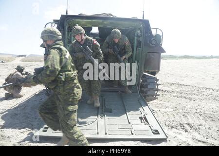 MARINE CORPS BASE CAMP Pendleton, Calif (28. Juni 2018) Der Kanadische Streitkräfte service Mitglieder der Ausstiegsbeleuchtung ein AAV-P7/A1 assault Amphibienfahrzeug während der Einarbeitung Training als Teil der Felge des Pazifiks (Rimpac) Übung im Marine Corps Base Camp Pendleton, Kalifornien, 28. Juni 2018. Marines Training mit Partner Nationen aus der ganzen Welt erhöht die Schlagkraft. RIMPAC bietet hochwertige Ausbildung für Task-organisierte, hoch-fähigen Marine Air-Ground Task Force und erhöht die kritische Reaktion auf Krisen Fähigkeit der US-Marines im Pazifik. Stockfoto