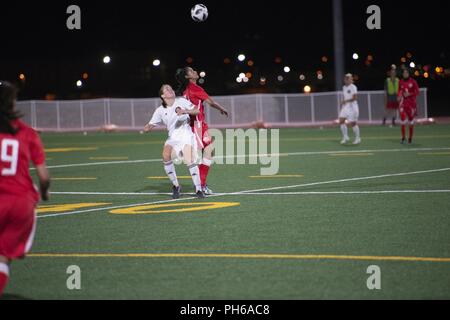 FORT BLISS, Texas - Deutsche und Bahrain Spieler bereit stand, den Ball in der Mitte der Pitch bump während des Spiels 12 des Conseil International du Sport Militaire (CISM) Weltweit militärische Frauen Fußball-Europameisterschaft 2018 zu Kopf am 29. Juni. Internationale militärische Teams quadrierten weg die besten Frauen Fußball-Spieler schließlich Krone unter den internationalen Militärs teilnehmen. Stockfoto