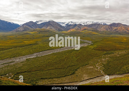 Die bunten Berge oberhalb einer Tundra Tal von Polychrome Pass im Denali Nationalpark in Alaska Stockfoto
