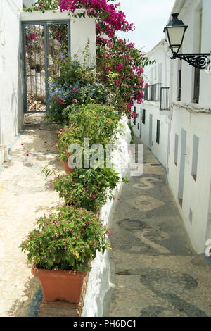 Spanien, Andalusien, das historische Dorf Frigiliana, eine Gasse in der hübschen, maurischen Oberstadt mit grünen Blumen an einem Sommertag. Stockfoto