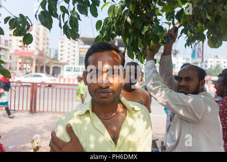 Tägliche Arbeitsmarkt, Uttara, Dhaka Stockfoto