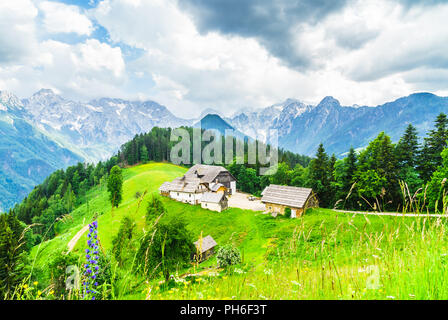 Blick auf den Hof in die slowenischen Alpen durch Logar-tal Stockfoto