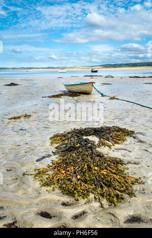 Dies ist ein Bild von exponierten Algen am Strand bei Ebbe. Dieses Bild wurde in Donegal Irland Stockfoto