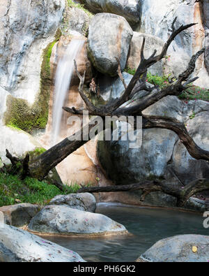 Landschaft aus Mutter Natur in ihrer ganzen Schönheit. Stockfoto