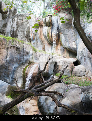 Landschaft aus Mutter Natur in ihrer ganzen Schönheit. Stockfoto