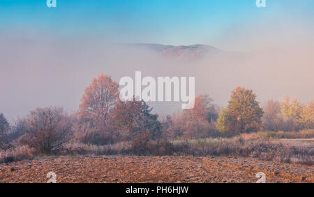 Dichter Nebel im Tal. Bäume im Herbst Laub. oben auf dem Berg in der Ferne sehen Stockfoto