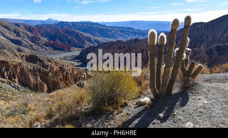 Felsformationen auf der El Sillar, Quebrada de Palala Tal in der Nähe von Tupiza, Bolivien, Südamerika Stockfoto