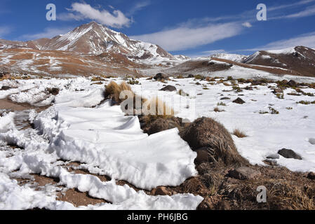Winter Landschaften von den Bergen der Cordillera de Lipez, in Sur Lipez Provinz, Potosi, Bolivien Stockfoto