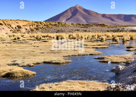 Höhe Marschland und vulkanischen Landschaften in der Nähe von Quetana Grande im Eduardo Avaroa National Reserve, Bolivien Stockfoto