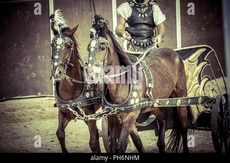 Römische Streitwagen in einem Kampf der Gladiatoren, blutigen Zirkus Stockfoto