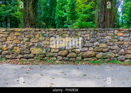 Wald Weg mit alten Steinmauer mit Moos und Vegetation (Moose, Farne, Gras) Stockfoto