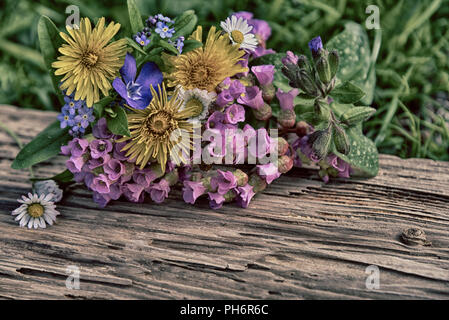 Frühling Blumen auf einem Holzbrett Stockfoto