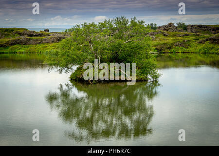 Reise Sommer rund um Island Stockfoto