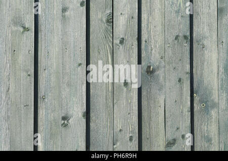 Aus Holzbrettern Hintergrund mit Verwitterten grünen Farbe. Stockfoto