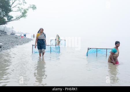 Shripm Larven Fänger im Fluss, pasur Dakop, Khulna, Bangladesh Stockfoto