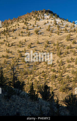 Schlucht von Chimney Rock Trail, schiefe Wild und Scenic River, untere Crooked River National Back Country Byway, Prineville Bezirk Büro der Land Mana Stockfoto