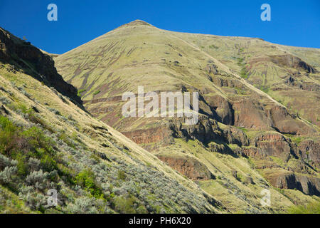 Canyon Hang, Deschutes Wild and Scenic River, untere Deschutes National wieder Country Byway, Oregon Stockfoto