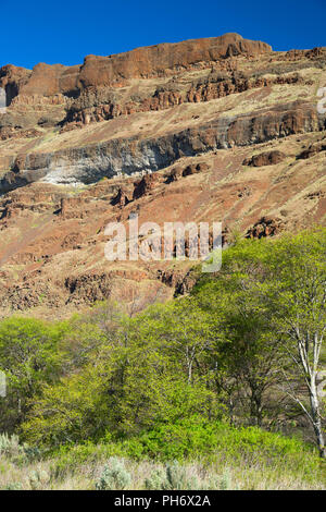 Canyon Hang, Deschutes Wild and Scenic River, untere Deschutes National wieder Country Byway, Oregon Stockfoto