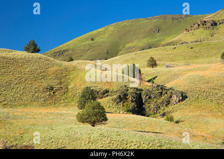 Canyon Hang, Deschutes Wild and Scenic River, untere Deschutes National wieder Country Byway, Oregon Stockfoto