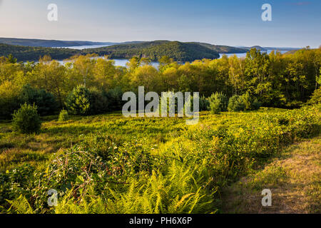 Ein Blick auf das Quabbin Reservoir, Ware, Massachusetts von der Enfield Suche Stockfoto