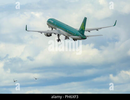 Flughafen Dublin Landungen und Starts. Stockfoto