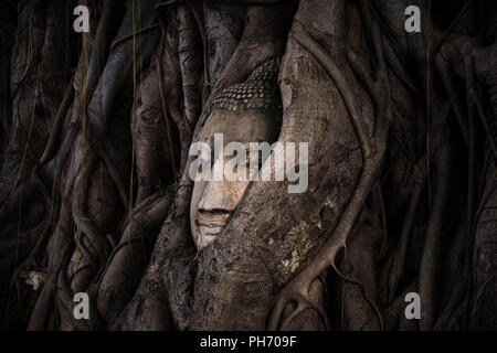 Es gibt viele interessante Geschichten über wie dieser berühmte Buddha Kopf in die Wurzeln dieses Baumes verflochten war. Die Wahrheit ist da draußen... Stockfoto
